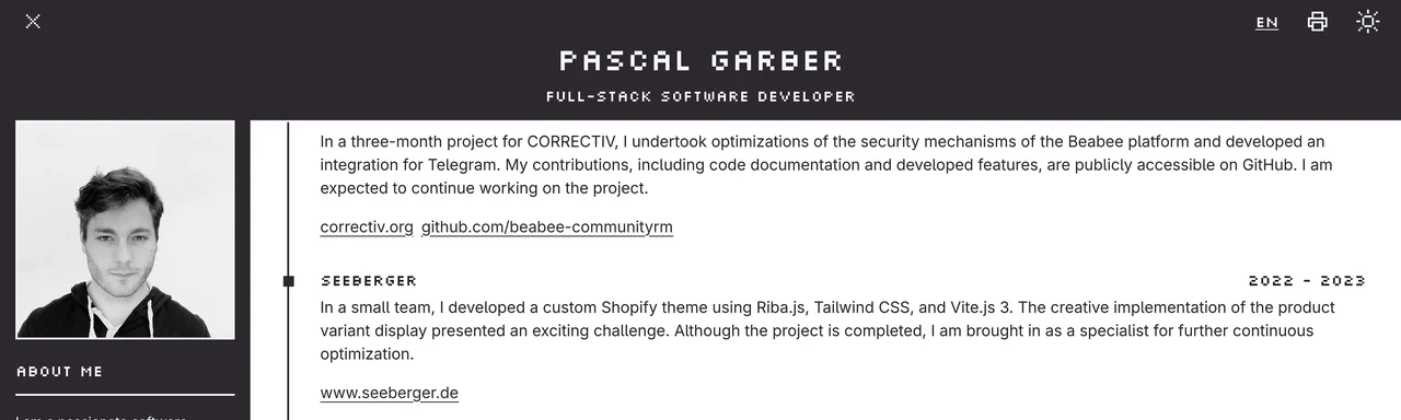 The old site: a grey single-column CV with a photo and a pixel font